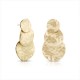 Gold Fever Earrings